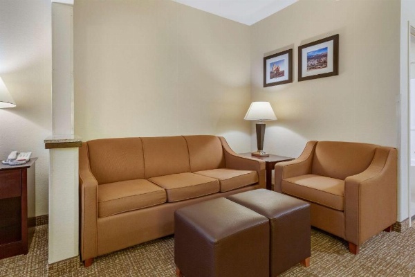 Comfort Inn & Suites North Tucson - Marana image 13