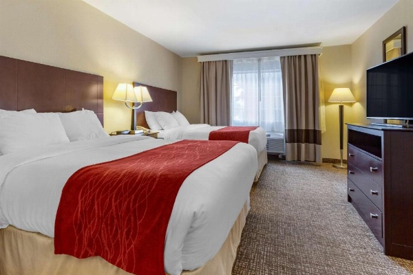 Comfort Inn & Suites North Tucson - Marana image 22