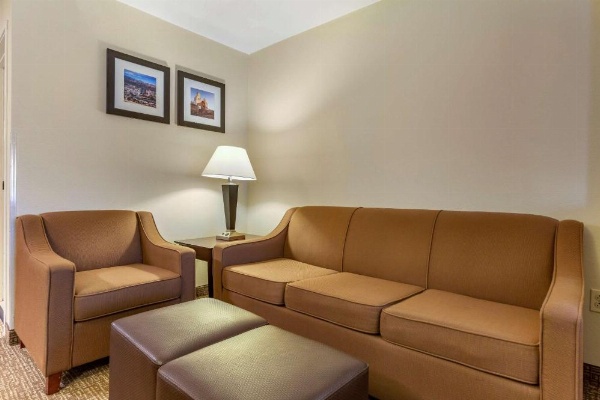 Comfort Inn & Suites North Tucson - Marana image 23