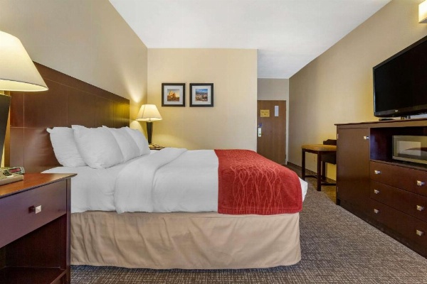 Comfort Inn & Suites North Tucson - Marana image 25