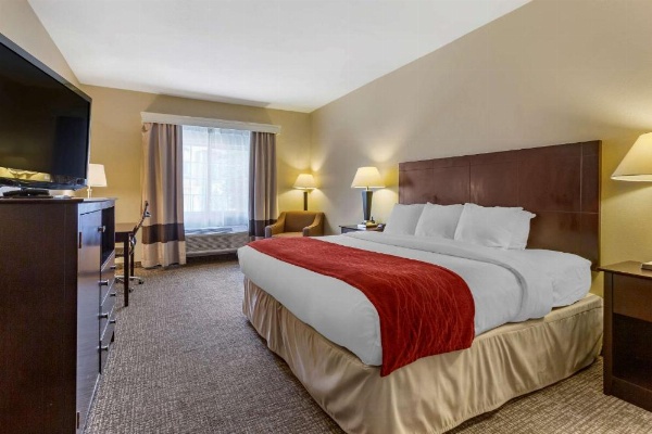 Comfort Inn & Suites North Tucson - Marana image 26