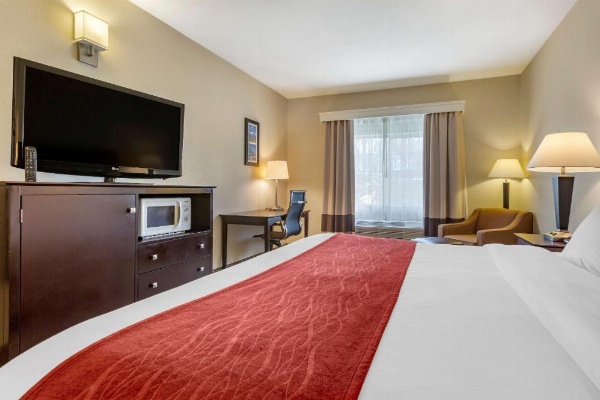 Comfort Inn & Suites North Tucson - Marana image 29