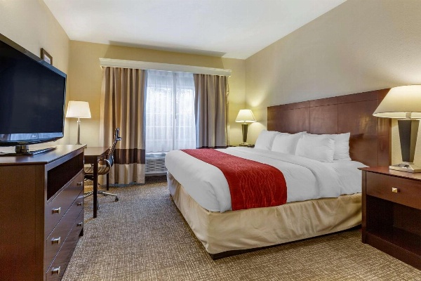 Comfort Inn & Suites North Tucson - Marana image 3